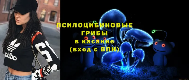 Галлюциногенные грибы MAGIC MUSHROOMS  МЕГА ссылки  Сертолово 